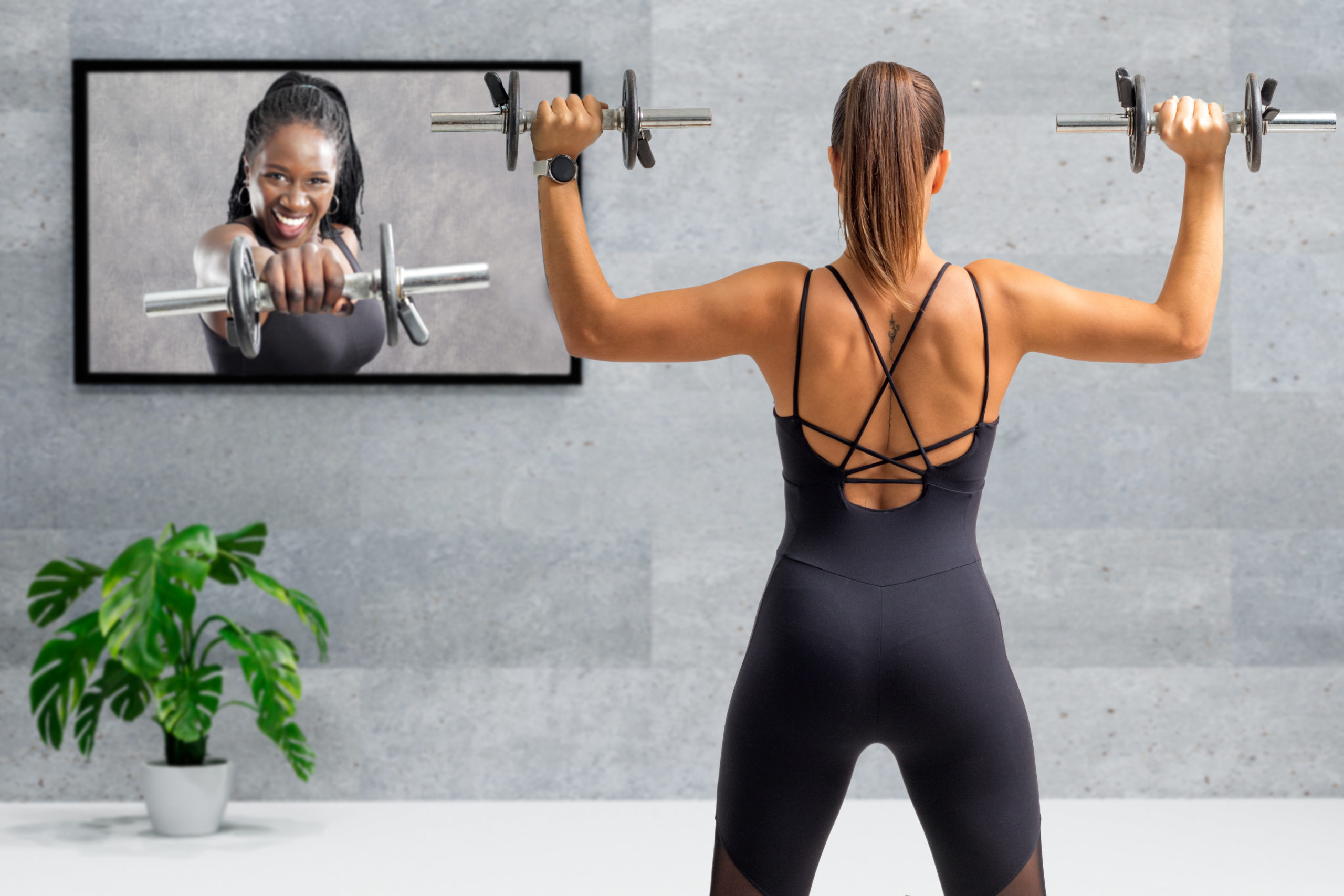virtual personal trainer workouts